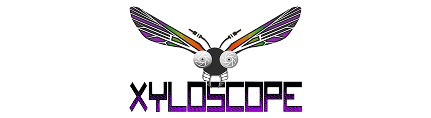 XYLOSCOPE